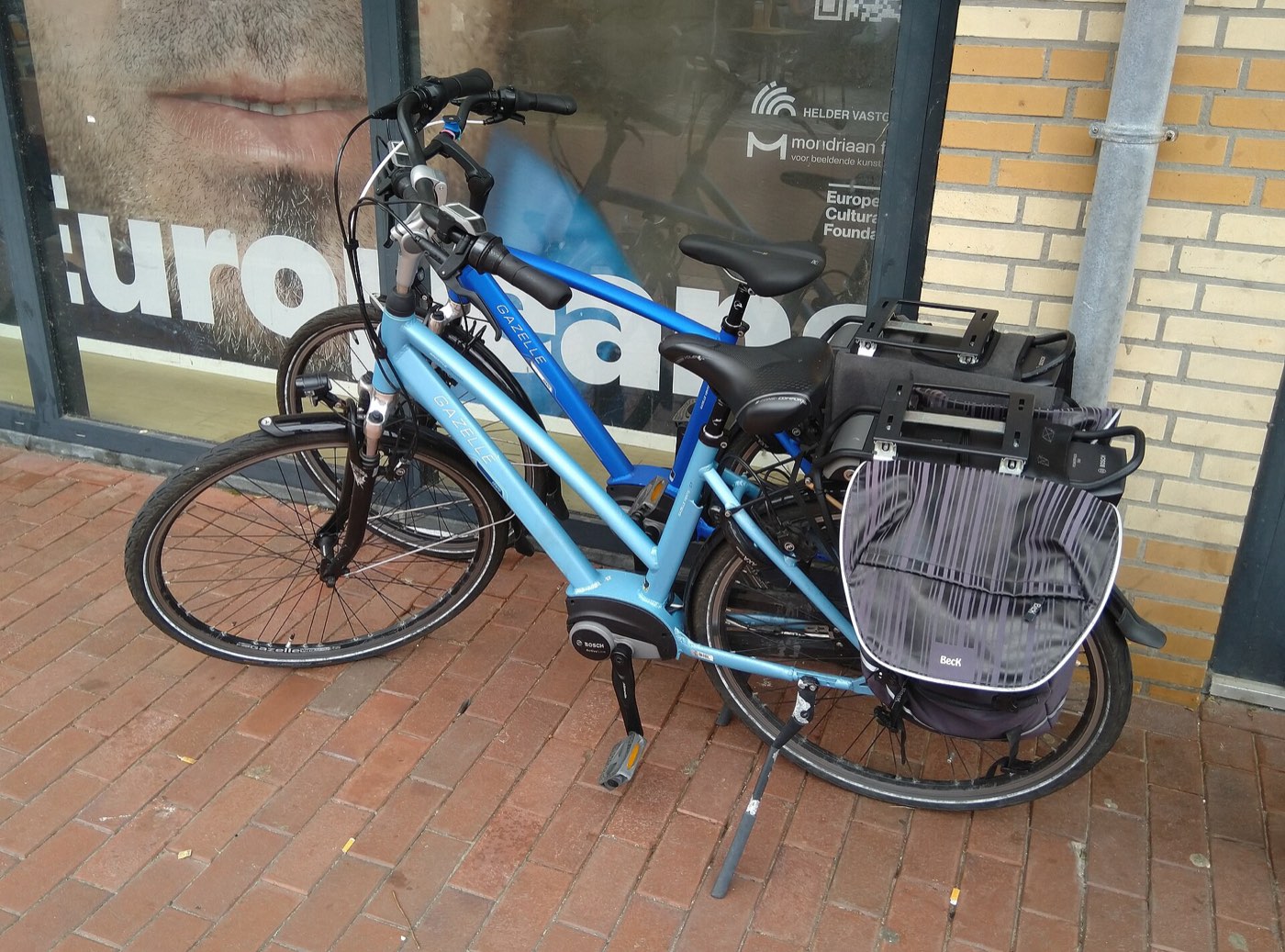 Gazelle Ultimate C8